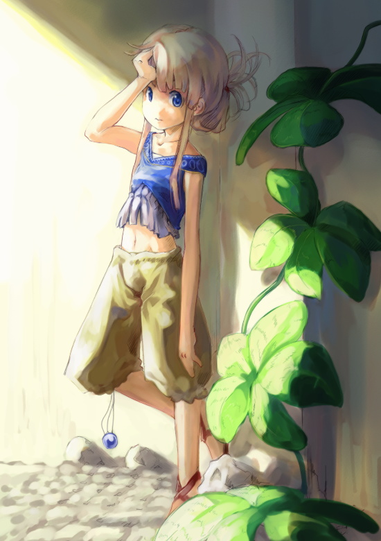 だろ34